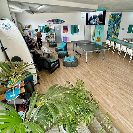 Хостел Medano Nest