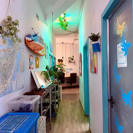 Hostel Medano Nest *