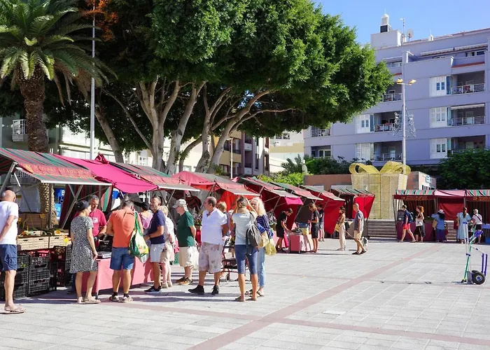 Medano Nest * 엘메다노